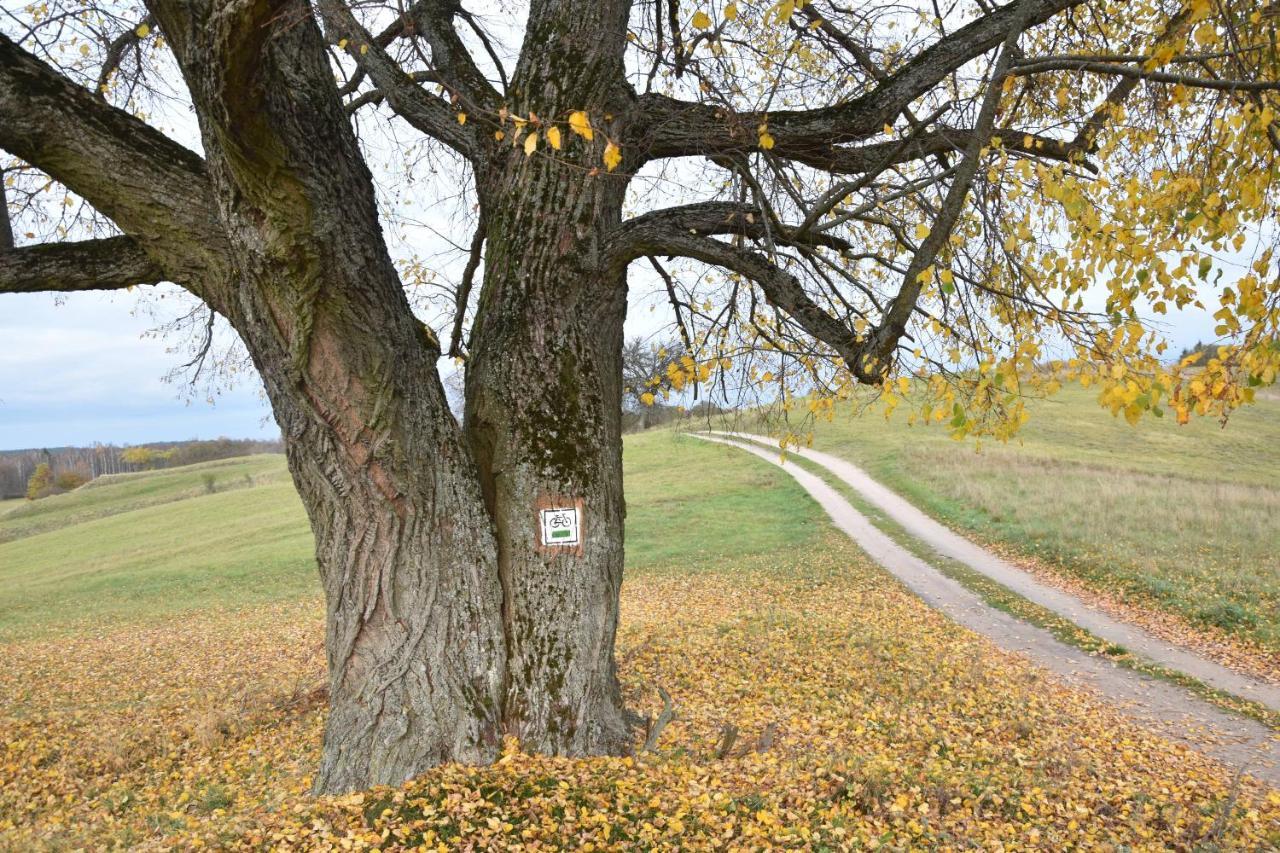 Wigierski Park Narodowy Suwałki المظهر الخارجي الصورة