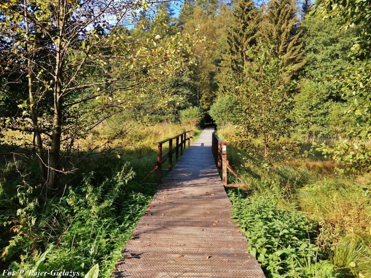 Wigierski Park Narodowy Suwałki المظهر الخارجي الصورة